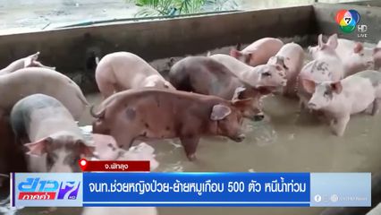 จนท.ช่วยหญิงป่วย-ย้ายหมู 500 ตัว หนีน้ำท่วม