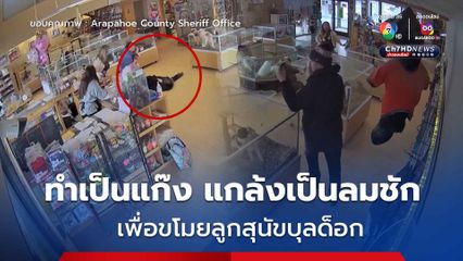 ตร.สหรัฐฯ ตามล่าแก๊งโจรแสบ แกล้งเป็นลมชักเพื่อขโมยลูกหมา