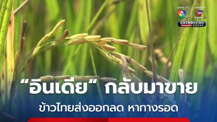 อินเดีย กลับมาขายข้าว ไทยส่งออกร่วง