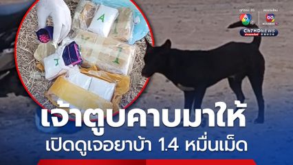 สุนัขคาบห่อพลาสติกให้เจ้าของ เปิดดูพบยาบ้า 1.4 หมื่นเม็ด คาดกลุ่มค้ายาวางไว้ส่งมอบให้ลูกค้า