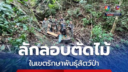 จับกุมชายลักลอบตัด “ไม้มะริด” ในเขตรักษาพันธุ์สัตว์ป่า จ.ประจวบคีรีขันธ์