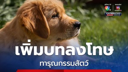 เกาหลีใต้หนุนเพิ่มบทลงโทษทารุณกรรมสัตว์ , ขึ้นทะเบียนสุนัขทั่วประเทศ