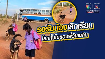 น่ารักน่าเอ็นดู โลกทั้งใบของน้องหมาชื่อ "วันเฉลิม" คือการมารับรับน้องเลิกเรียน