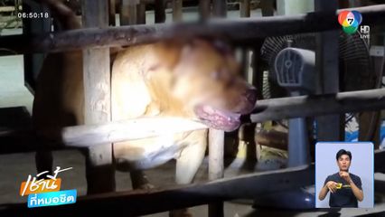 อีกแล้ว! พิตบุลล์กัดเด็ก บาดเจ็บสาหัส