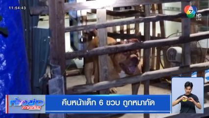 คืบหน้าเด็ก 6 ขวบ ถูกหมากัด