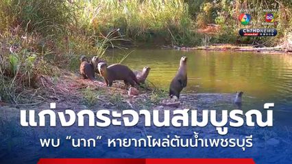 แก่งกระจานอุดมสมบูรณ์! พบนากหายาก 2 สายพันธุ์ โผล่ต้นน้ำเพชรบุรี