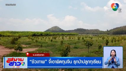 "ชีวะภาพ" จี้เอาผิดทุนจีน รุกป่าปลูกทุเรียน เนื้อที่กว่า 600 ไร่