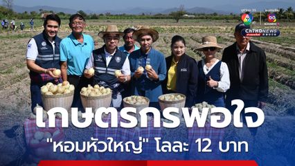 ”หอมหัวใหญ่“ ต้องไม่ล้นตลาด “พาณิชย์” พาเอกชนรับซื้อถึงที่ 11,000 ตัน ดันราคา 12 บาทต่อกิโลกรัม