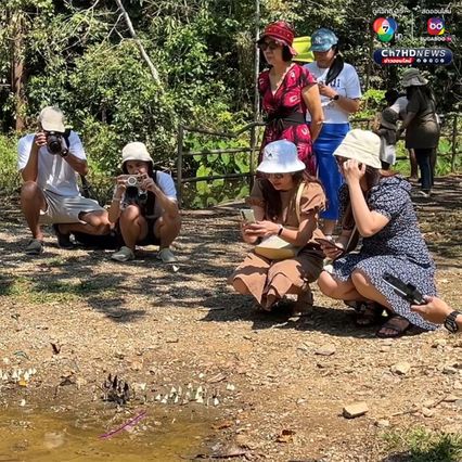 ผีเสื้อแก่งกระจาน บินอวดโฉมต้อนรับนักท่องเที่ยว