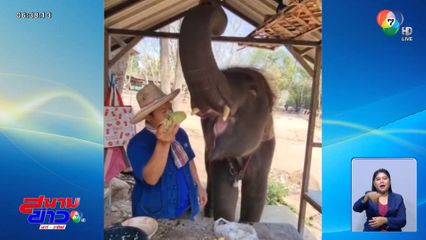 เห็นแล้ว อมยิ้ม โอกามาเสะช้าง