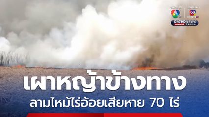 ห้ามไม่ฟัง ! มือดีเผาหญ้าข้างทางลามไหม้ไร่อ้อยเสียหาย 70 ไร่