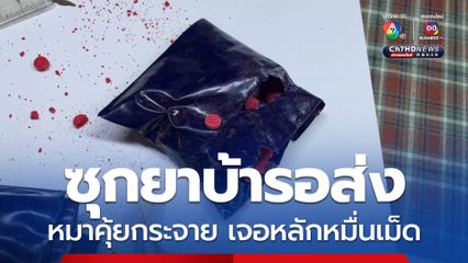 พ่อค้ายาบ้าเสียท่าให้หมา หลังแอบวางยาบ้า ไว้จุดส่งของที่ลับตาคน เจอเจ้าหมาคุ้ยถุงกระจัดกระจาย