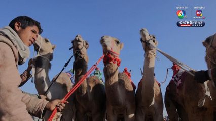 อียิปต์จัด “เทศกาลแข่งวิ่งอูฐ” ครั้งแรกในรอบ 5 ปี