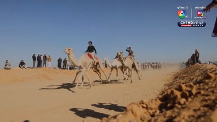 อียิปต์จัด “เทศกาลแข่งวิ่งอูฐ” ครั้งแรกในรอบ 5 ปี