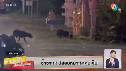 บุญชงสงตอบ : ซ้ำซาก! ปล่อยหมากัดคนเจ็บ