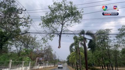 พายุฤดูร้อนถล่มเมืองขอนแก่น เสาไฟฟ้า ต้นไม้ล้ม หลังคาเปิด