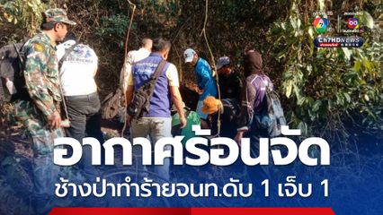 ช้างป่าทำร้ายเจ้าหน้าที่ป่าไม้ เสียชีวิต 1 บาดเจ็บ 1