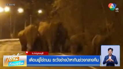 เตือนผู้ใช้ถนน ระวังช้างป่าหากินช่วงกลางคืน