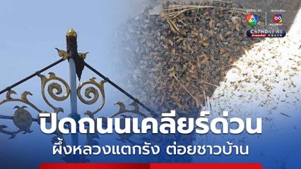 ปิดถนน  ! ฝูงผึ้งหลวงแตกรัง ต่อยชาวบ้านที่ขับรถผ่านไปมา
