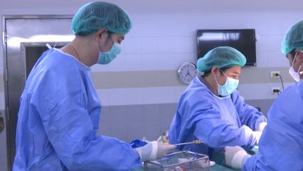 สมเด็จพระเจ้าน้องนางเธอ เจ้าฟ้าจุฬาภรณวลัยลักษณ์ อัครราชกุมารี กรมพระศรีสวางควัฒน วรขัตติยราชนารี ทรงงานทางด้านสัตวแพทย์ ณ โรงพยาบาลสัตว์ มหาวิทยาลัยเกษตรศาสตร์ (บางเขน)