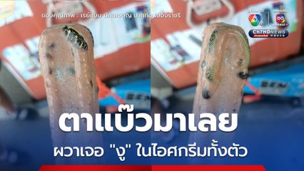 สุดสยอง หนุ่มรีวิวซื้อไอศกรีมรถเร่ ผวาเจอ "งู" มาเป็นตัว ชาวเน็ตคอมเมนต์สนั่น