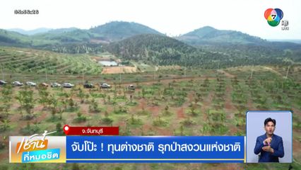 จับโป๊ะ! ทุนต่างชาติ รุกป่าสงวนแห่งชาติ