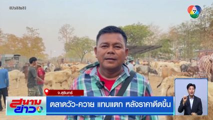 ตลาดวัว-ควาย แทบแตก หลังราคาดีดขึ้น