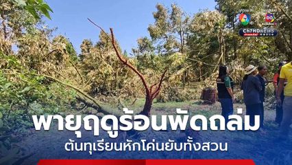 เจ้าของสวนทุเรียนเข่าอ่อน พายุฤดูร้อนพัดถล่มเสียหายทั้งสวน