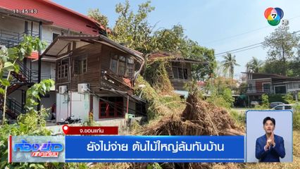 ยังไม่จ่าย ต้นไม้ใหญ่ล้มทับบ้าน
