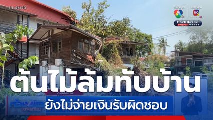 ยังไม่จ่าย ต้นไม้ใหญ่ล้มทับบ้าน