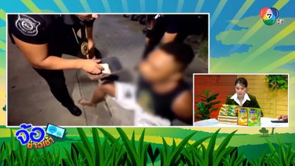 จับชายชาวไนจีเรีย ผันตัวค้าโคเคนในเกาะพะงัน