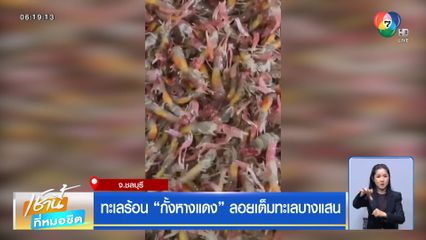 ทะเลร้อน "กั้งหางแดง" ลอยเต็มทะเลบางแสน