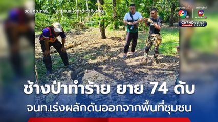 ช้างป่าทำร้ายป้าวัย 74 เสียชีวิต ด้าน จนท.อุทยานฯ คิชฌกูฏ เร่งผลักดันออกจากพื้นที่ชุมชน