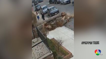 เกือบไป! ต้นไม้ใหญ่เกือบล้มทับคนในนิวยอร์ก