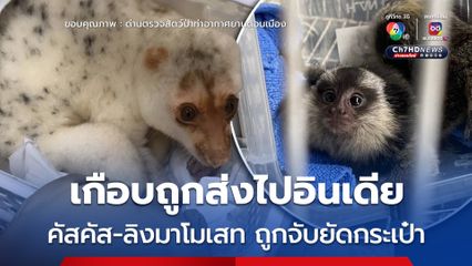 รวบกลางสนามบินดอนเมือง สาวอินเดียนำ คัสคัส-ลิงมาโมเสท ยัดกระเป๋า เตรียมลักลอบนำออกนอกไทย