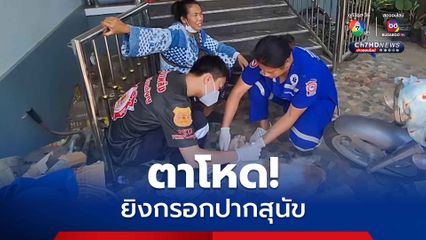 ตาปืนโหดยิงกรอกปากสุนัข โมโหวิ่งไล่กัดไก่เป็ดในสวน