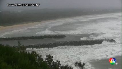 พายุไซโคลนอัลเฟรด คลื่นลมแรงซัดชายฝั่งออสเตรเลีย