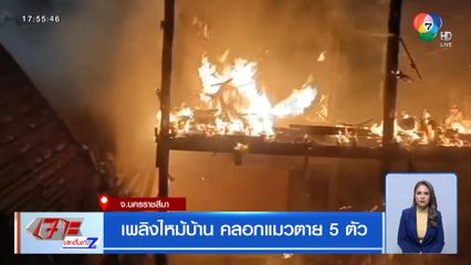 เพลิงไหม้บ้าน คลอกแมวตาย 5 ตัว