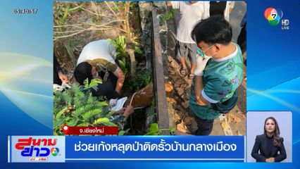 ช่วยเก้งหลุดป่าติดรั้วบ้านกลางเมือง