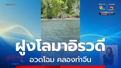 ตื่นตา ! ฝูงโลมาอิรวดีอวดโฉม คลองท่าจีน