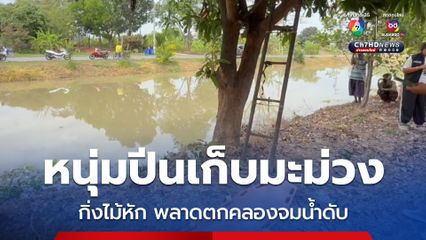 หนุ่มปีนเก็บมะม่วง เกิดพลาดท่ากิ่งมะม่วงหัก ตกคลองจมน้ำเสียชีวิต