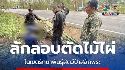 สกัดต้นตอไฟป่า! รวบชายลักลอบตัดไม้ไผ่ในเขตรักษาพันธุ์สัตว์ป่าสลักพระ 