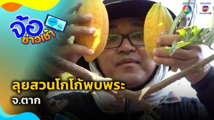 ลุยสวนโกโก้พบพระ จ.ตาก