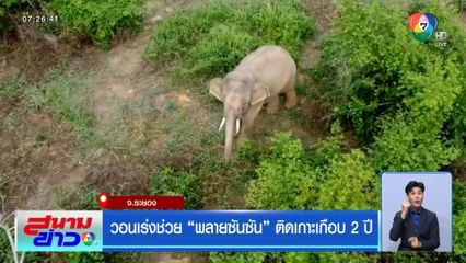 วอนเร่งช่วย พลายซันซัน ติดเกาะเกือบ 2 ปี