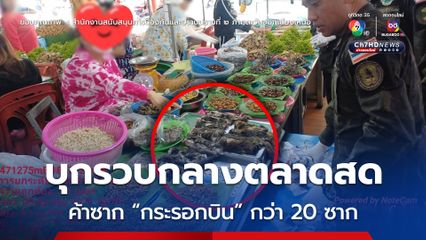 รวบกลางตลาดขายซาก “กระรอกบิน” พบของกลางกว่า 20 ซาก