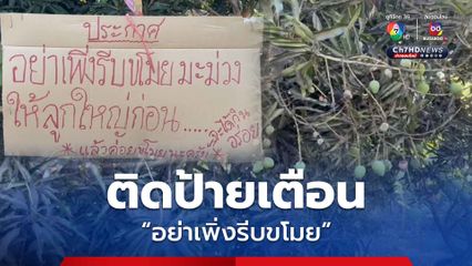 เจ้าของสวนสุดทน ! ติตป้ายเตือน มะม่วงกำลังจะโต อย่าเพิ่งรีบขโมย
