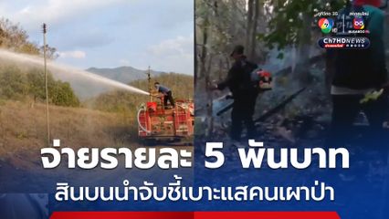 ไฟป่าไหม้ไม่พัก นายอำเภอแม่สะเรียง ประกาศให้สินบนนำจับ รายละ 5 พันบาท ชี้เบาะแสคนเผาป่า