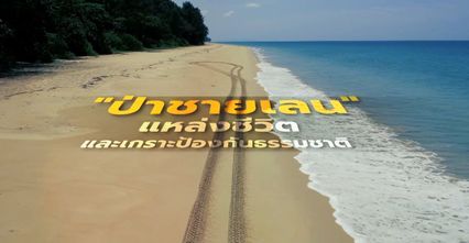 Kids พิทักษ์โลก : “ป่าชายเลน” แหล่งชีวิตและเกราะป้องกันธรรมชาติ Ep.17