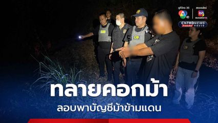 ทลายคอกม้า จับกุมเครือข่ายลักลอบพาบัญชีม้าข้ามแดนส่งแก๊งคอลเซนเตอร์