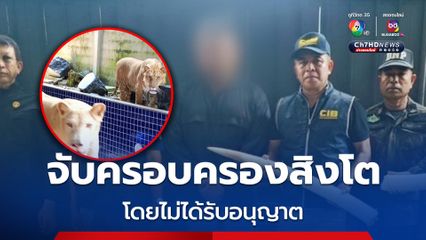 ตำรวจสอบสวนกลาง จับครอบครองสิงโตโดยไม่ได้รับอนุญาต